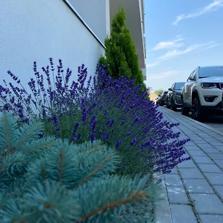 Sunrise Palais Appartamento Braşov